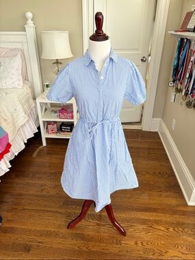 J. Crew Factory Blue and White Striped Tie-Waist Shirt Mini Dress